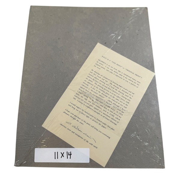 Endangered Ostrich Art Print by L. Coulson-Currin‎ 11x14 Limited Edition 40/200 - Picture 2 of 4